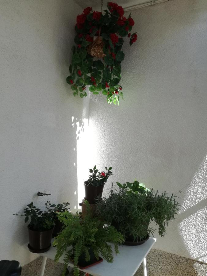 Apartments Culav Makarska Extérieur photo
